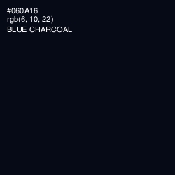 #060A16 - Blue Charcoal Color Image